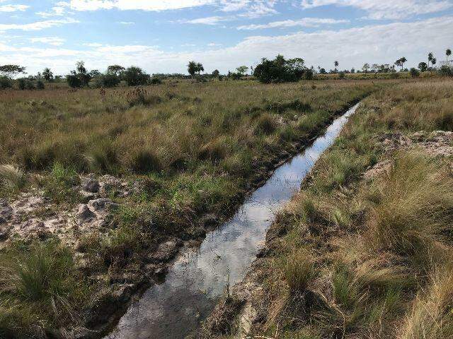 PMA autua pecuarista em R$ 5 mil por fazer 1 km de dreno para secar uma lagoa