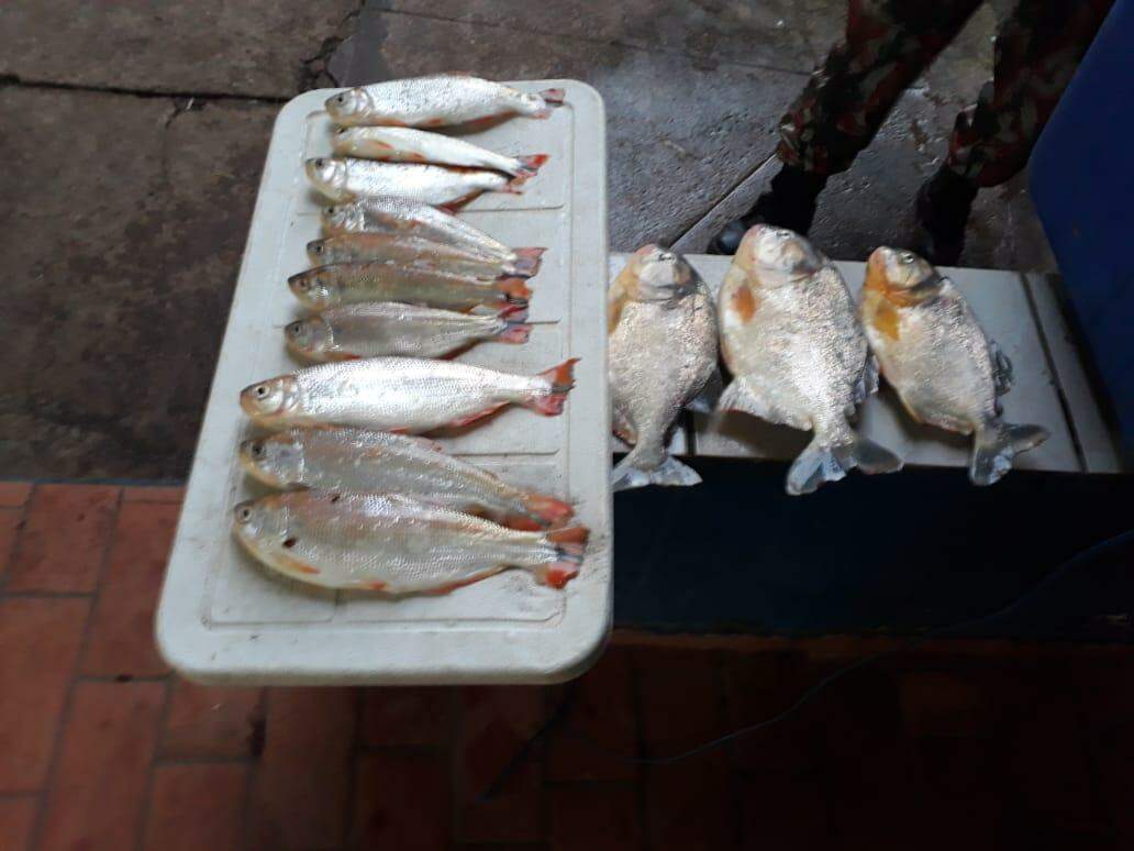 PMA autua pescador e turista paulista por pesca predatória no rio Taquari