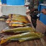 PMA apreende 614 kg de pescado em operação pré-piracema