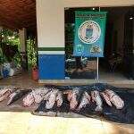 PMA multa em R$ 5 mil pescadores e apreende 183 quilos de pescado