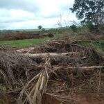 PMA autua infrator em R$ 6,3 mil por desmatamento ilegal de 21 hectares