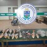 Preso por agressão é autuado pela PMA por armazenamento de pescado ilegal