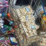Supermercado é flagrado vendendo produtos apodrecidos em Campo Grande