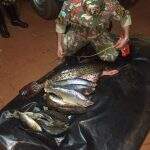Idoso é preso e multado em R$ 7 mil por pesca de Dourado e Piracanjuba