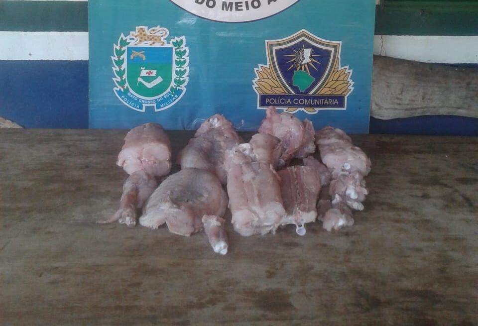 Homem é preso e multado em R$ 5 mil por transportar carne de jacaré