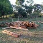 PMA aplica multa por armazenamento de madeira ilegal