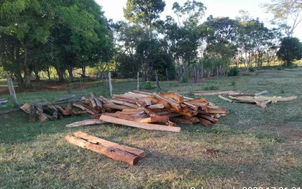 PMA aplica multa por armazenamento de madeira ilegal