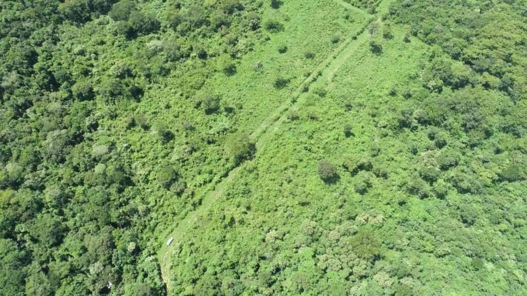 Proprietário rural é multado em R$ 34 mil por desmatamento ilegal em MS