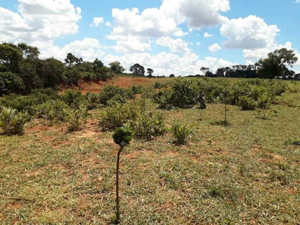 Fazendeiro é multado em R$ 16 mil por desmatar vegetação nativa
