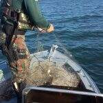 PMA apreende 400 metros de rede de pesca e solta 10kg de pescado no rio Paraná