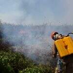 Incêndio em região do Pantanal começa amenizar e ficar sob controle, dizem Bombeiros