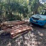 Foragido da Justiça e ex-presidiário são presos por exploração ilegal de madeira em MS
