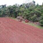 Fiscalização ambiental multa arrendatário em R$ 3 mil por extração de árvores