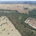 Empresa é multada em R$ 320 mil por desmatamento ilegal em área protegida de MS