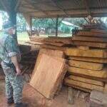 Polícia aplica multa por exploração e armazenamento de madeira ilegalmente