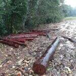 Fazendeiro é autuado em quase R$ 5 mil por exploração ilegal de madeira