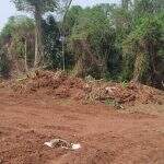 Polícia flagra desmatamento ilegal de Mata Atlântica em fazenda de MS