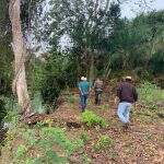Fazendeiro é multado em R$ 50 mil por degradação de área protegida próximo ao Rio Salobra
