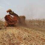 Empresa é multada em R$ 325 mil por incêndio em lavoura de cana e de vegetação em MS