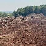 Assentado é multado em R$ 5 mil por desmatamento ilegal de vegetação