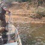 PMA solta peixes presos em rede de pesca ilegal no Rio Ivinhema