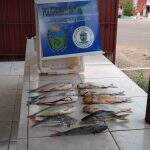 Caixa de banco e pecuarista são presos em flagrante por pesca predatória