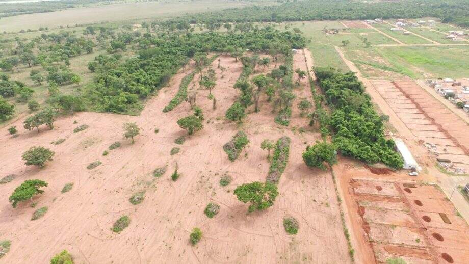 Advogado é multado em R$ 4 mil por desmatamento de vegetação nativa de cerrado