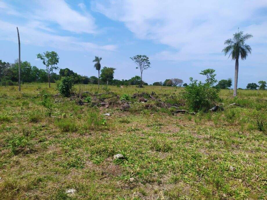Fazendeiro de Caracol é multado em R$ 5,7 mil por desmatamento ilegal