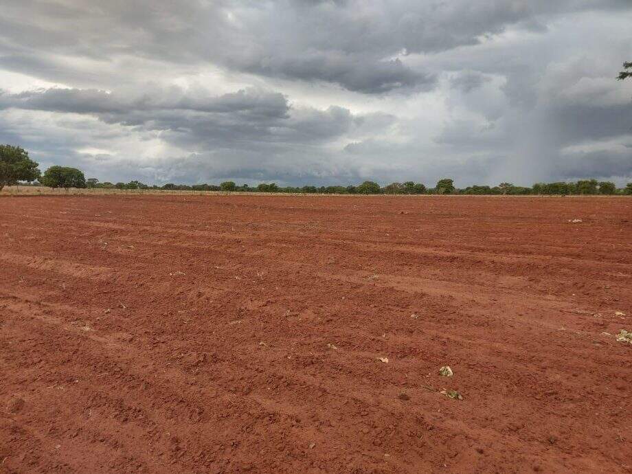 Fazendeiro é multado em R$ 8 mil por desmatamento ilegal em Camapuã