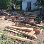 Dono de bar recebe multa de R$ 4,8 mil por armazenar madeira ilegal