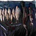 Comerciante é multado em R$ 5,4 mil por pescar durante a piracema no Rio Verde