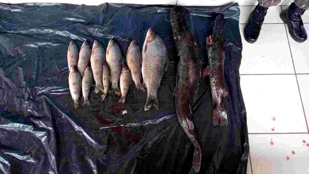 Comerciante é multado em R$ 5,4 mil por pescar durante a piracema no Rio Verde