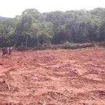Fazendeiro é multado por desmatar margem da Estrada Parque no Pantanal