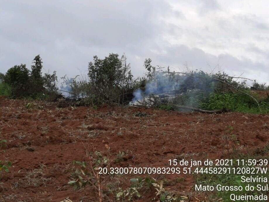 Em Selvíria, fazendeiro é multado em mais de R$ 51 mil por incêndio em vegetação nativa