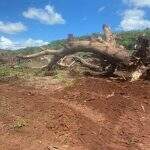 Proprietário rural é multado em em R$ 94 mil por três desmatamentos ilegais