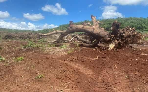 Proprietário rural é multado em em R$ 94 mil por três desmatamentos ilegais