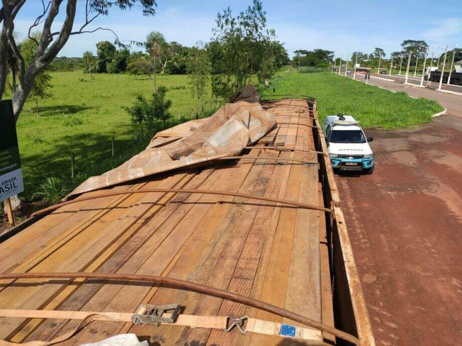 PMA de Bataguassu autua empresa de Mato Grosso em R$ 11 mil por transporte ilegal de madeira