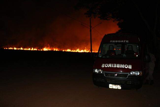 Incêndio de grandes proporções devasta área verde em Chapadão do Sul