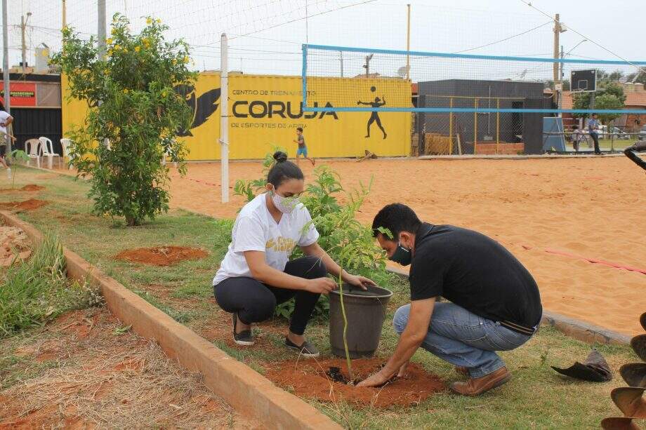 No dia da árvore, projeto social recebe plantio de 360 mudas de árvore da Águas Guariroba