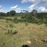 Fazendeira é multada em R$ 9 mil por desmatamento ilegal descoberto por satélites
