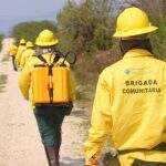 Brigadistas das comunidades do Pantanal ajudam no combate aos incêndios em MS