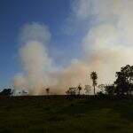 Fazendeiro de Campo Grande é multado por incêndio no ‘Portal do Pantanal’