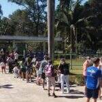 Em SP, Zoológico e Jardim Botânico têm filas e aglomeração de pessoas