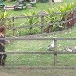 Lidi Lisboa é atacada por gansos da ‘Fazenda’