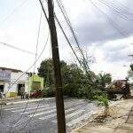 Quedas de árvores deixam ao menos 8 bairros sem energia em Campo Grande