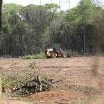 Com impasse na Justiça, desmatamento é retomado no Parque dos Poderes