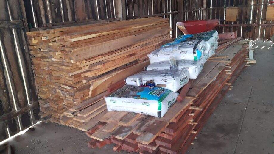 Fazendeira é multada por exploração de madeira em área protegida