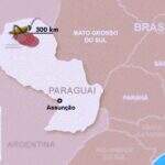 A 300 km de MS, nova nuvem de gafanhotos surge no Paraguai e pode chegar ao Brasil