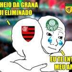 Palmeiras e Flamengo viram memes depois de eliminação da Copa do Brasil