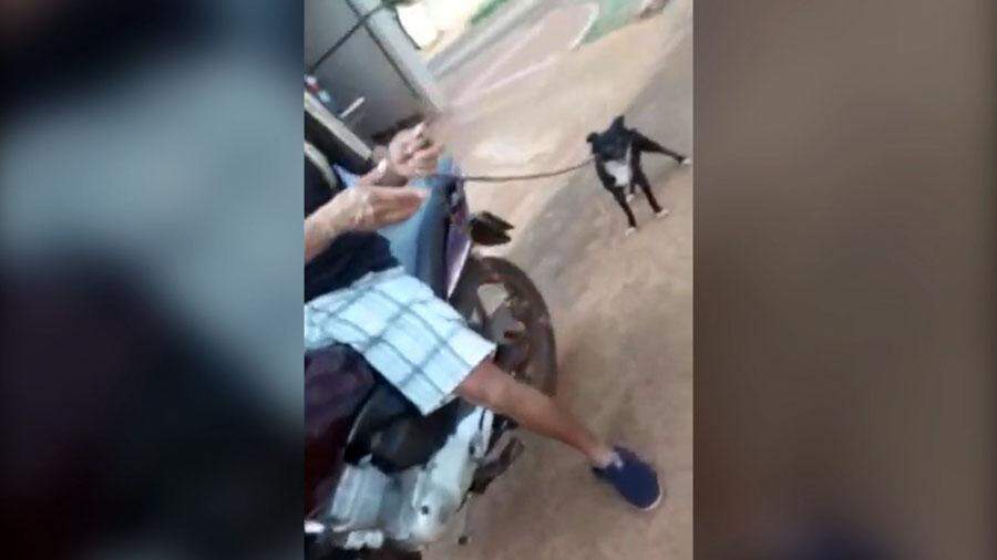 VÍDEO: Motociclista é flagrado arrastando cachorro com corda em cidade de MS